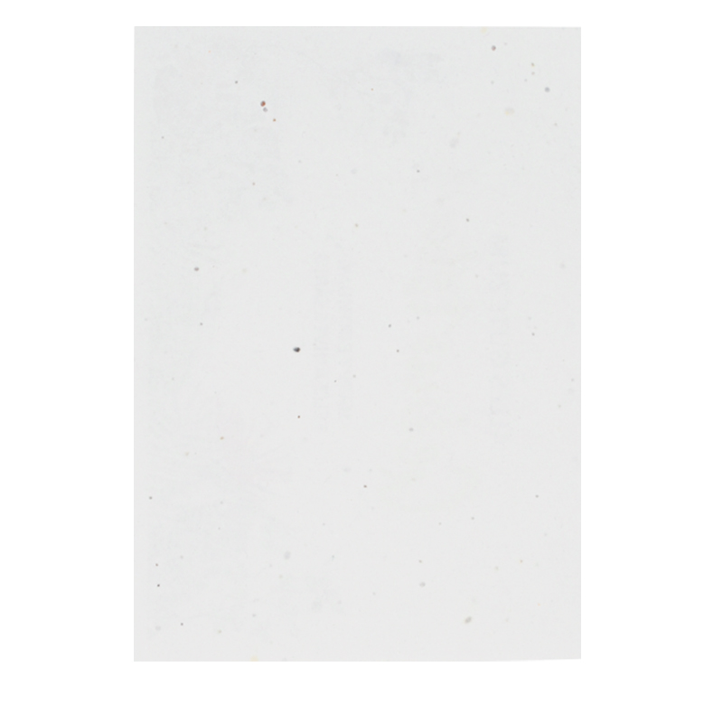 Seedpaper unprinted A3 200 gsm - Image 2
